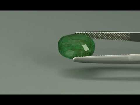Primary video