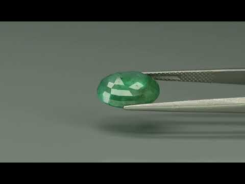 Primary video