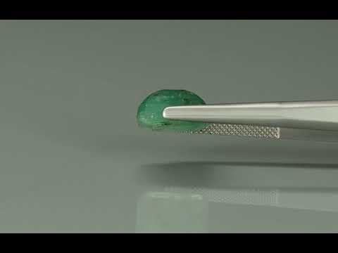 Primary video