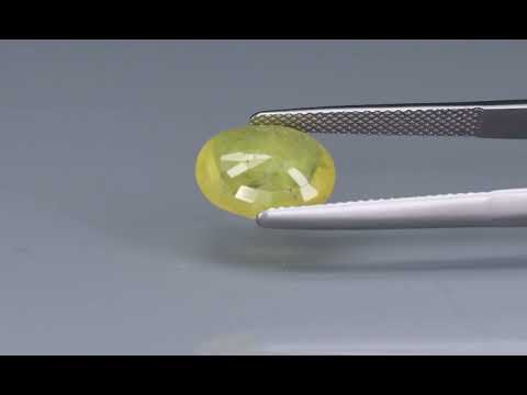 Primary video