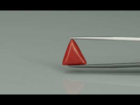 Primary video