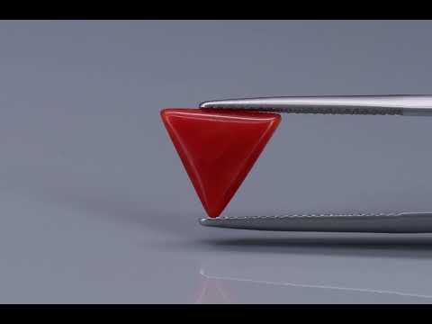 Primary video