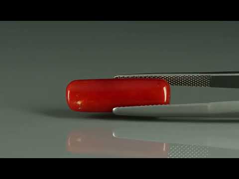 Primary video