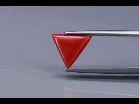 Primary video