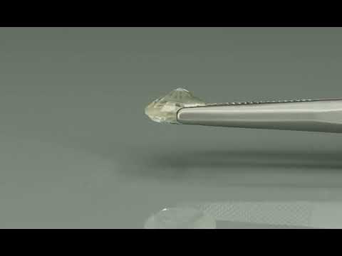 Primary video