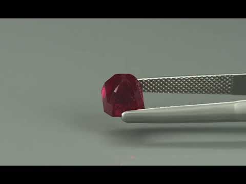 Primary video