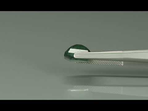Primary video