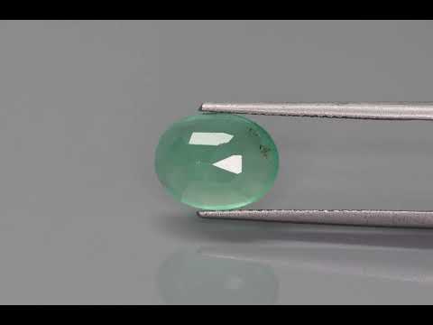 Primary video