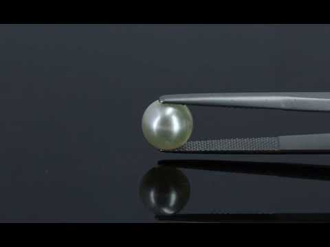 Primary video