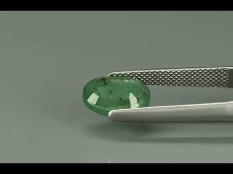 Primary video