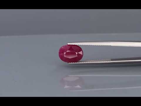Primary video
