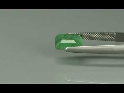 Primary video