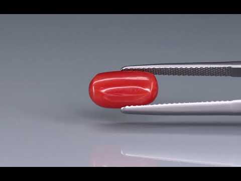 Primary video