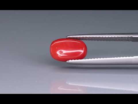 Primary video