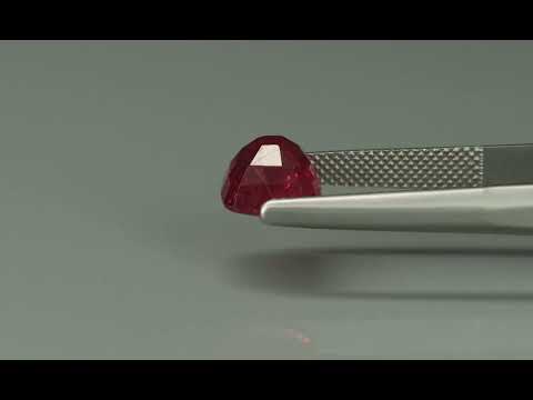 Primary video