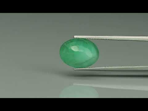 Primary video