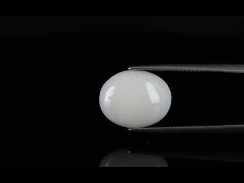 Primary video