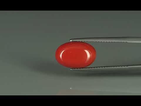 Primary video