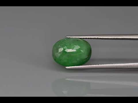 Primary video