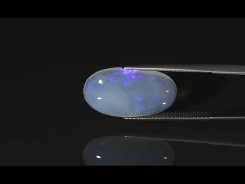 Primary video