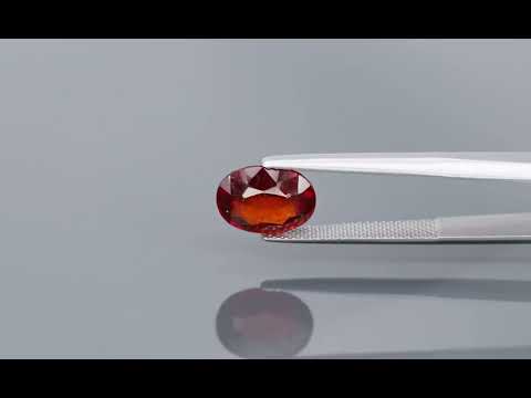 Primary video