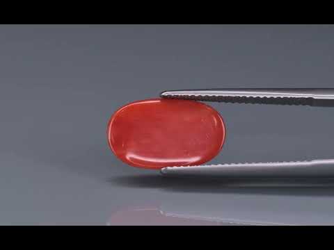 Primary video