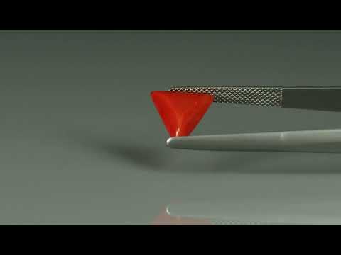 Primary video