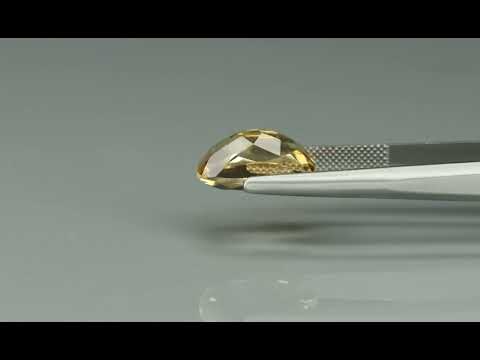 Primary video