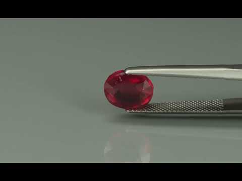 Primary video