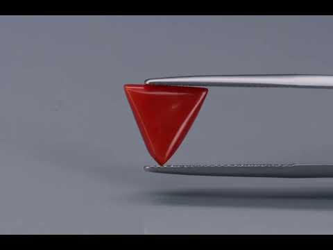 Primary video