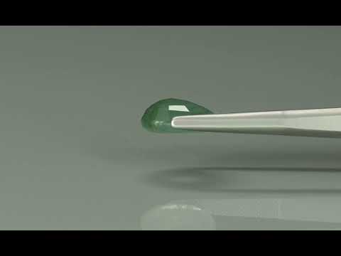 Primary video