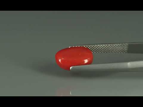 Primary video
