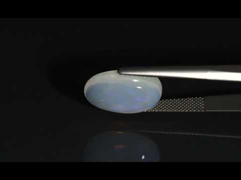 Primary video
