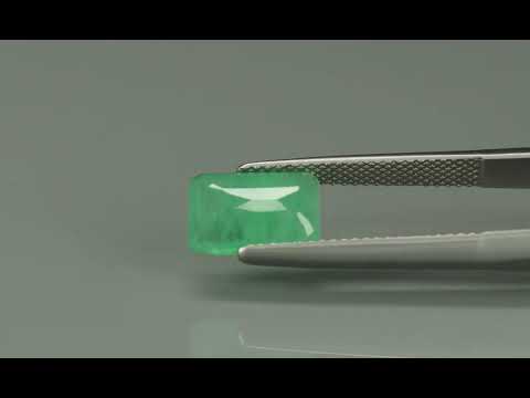 Primary video