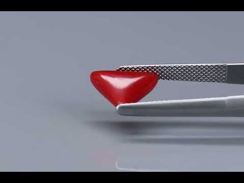 Primary video