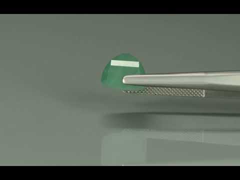 Primary video