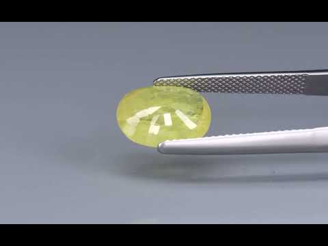 Primary video