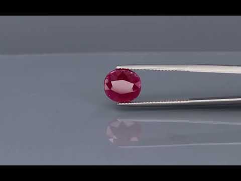 Primary video