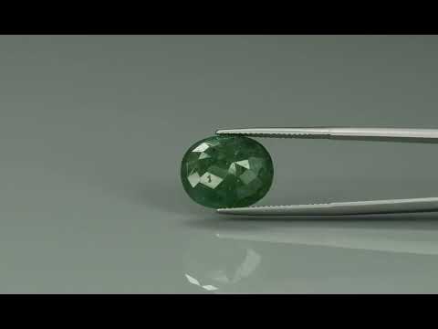 Primary video
