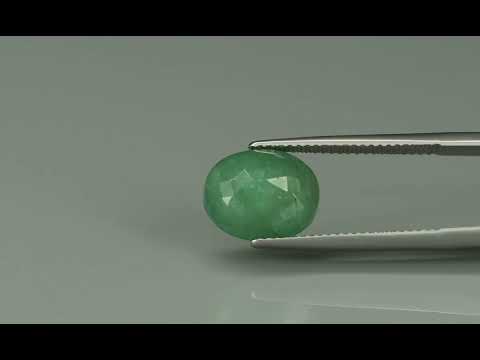 Primary video