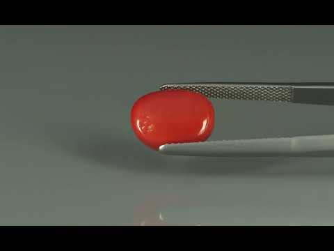 Primary video