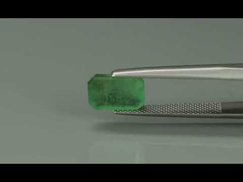 Primary video