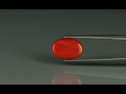 Primary video