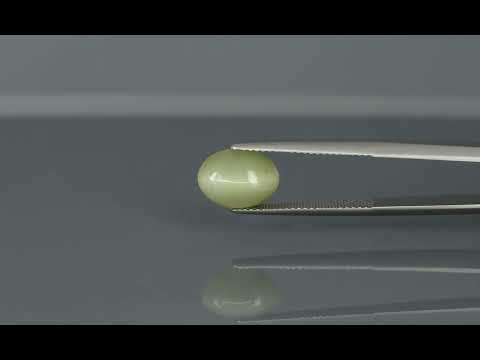 Primary video
