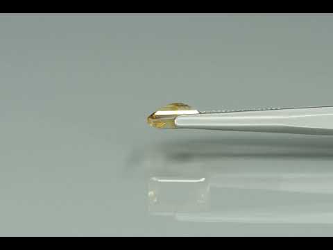 Primary video