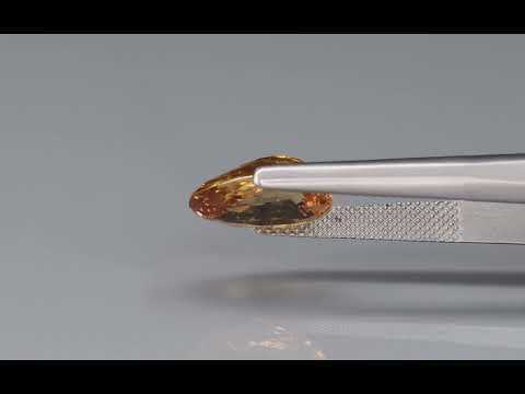 Primary video