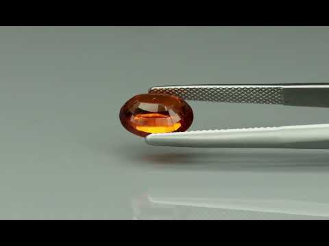 Primary video