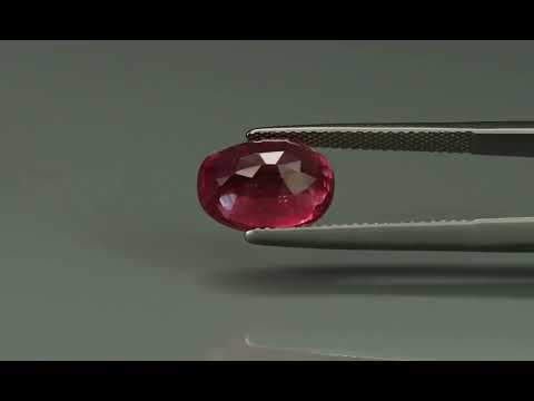 Primary video