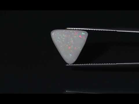 Primary video