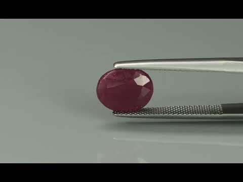 Primary video